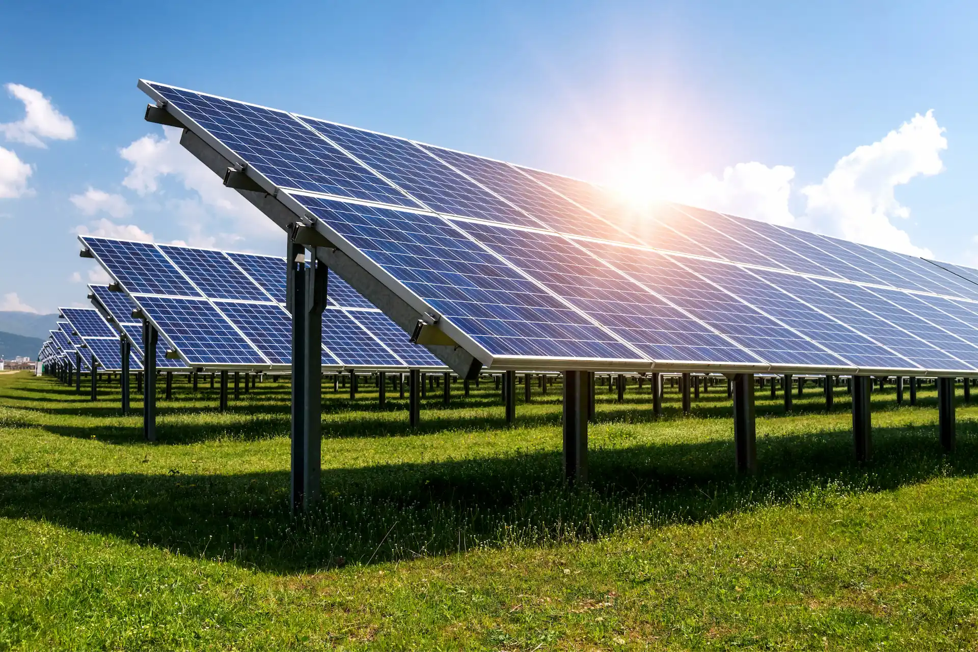 Paneles solares en un campo
